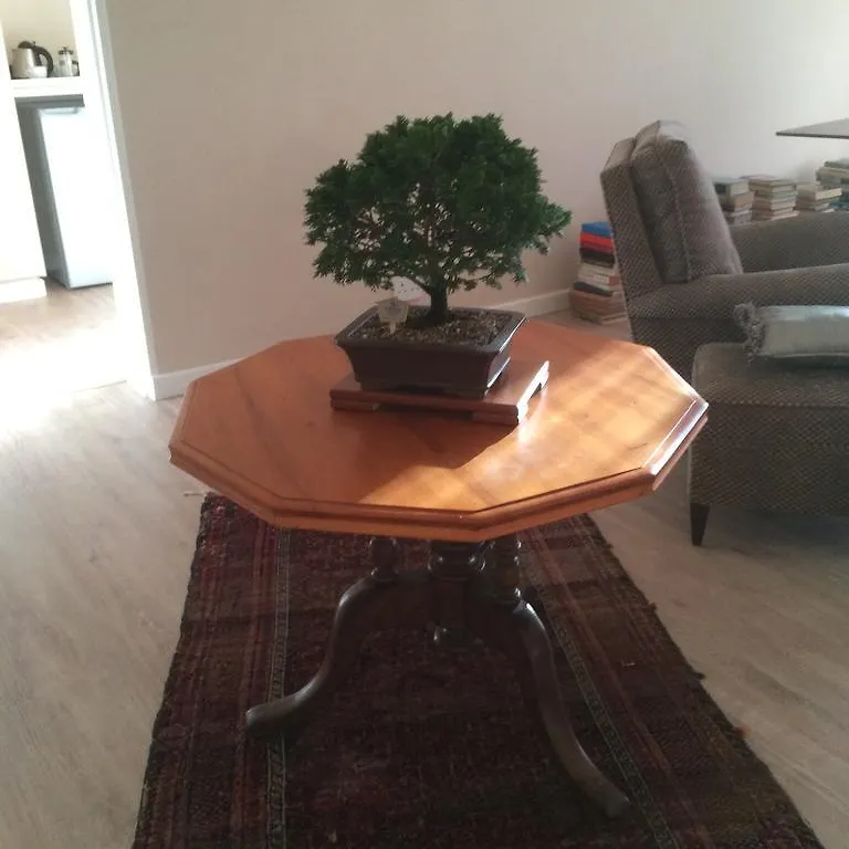 Acacia House Guest House Cape Town
