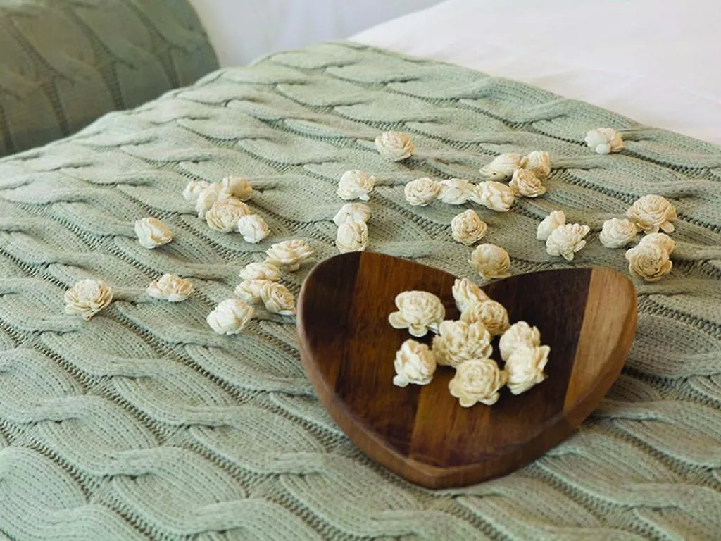 Acacia House Guest House Cape Town